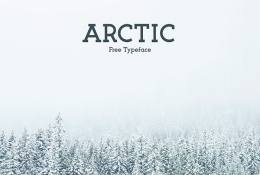 Arctic Font