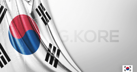 Vektörel Güney Kore Bayrağı