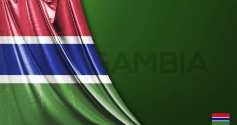 Gambia Vektörel Bayrağı