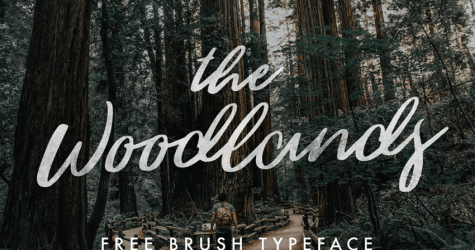 The Woodlands Brush Typeface