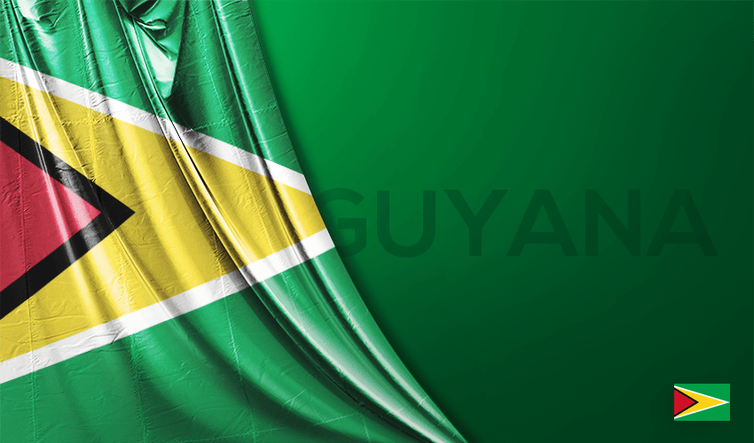 Guyana Vektörel Bayrağı