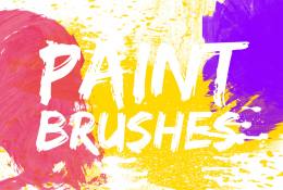 Paint Brushes Pack